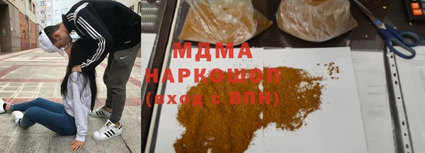 индика Абаза