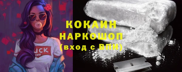 индика Абаза