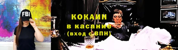 индика Абаза