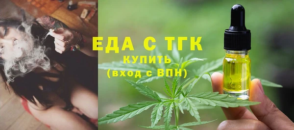 индика Абаза