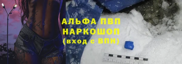 индика Абаза