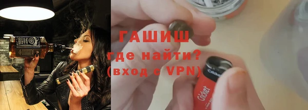 эйфоретик Няндома