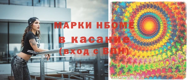 индика Абаза