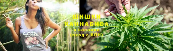 индика Абаза