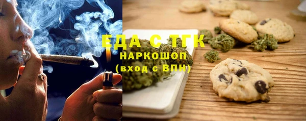 индика Абаза