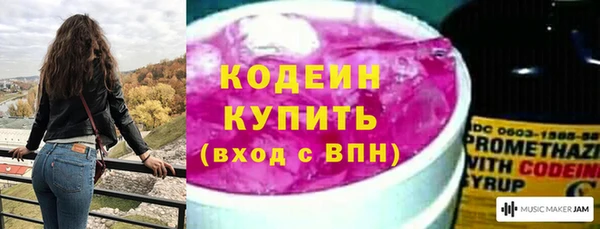 эйфоретик Няндома