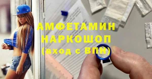 индика Абаза