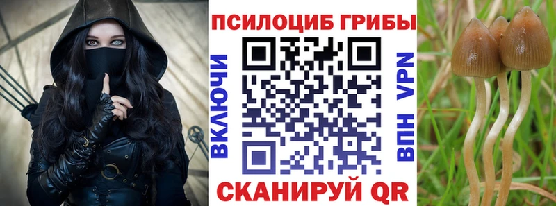 маркетплейс телеграм  Сурск  Псилоцибиновые грибы прущие грибы 